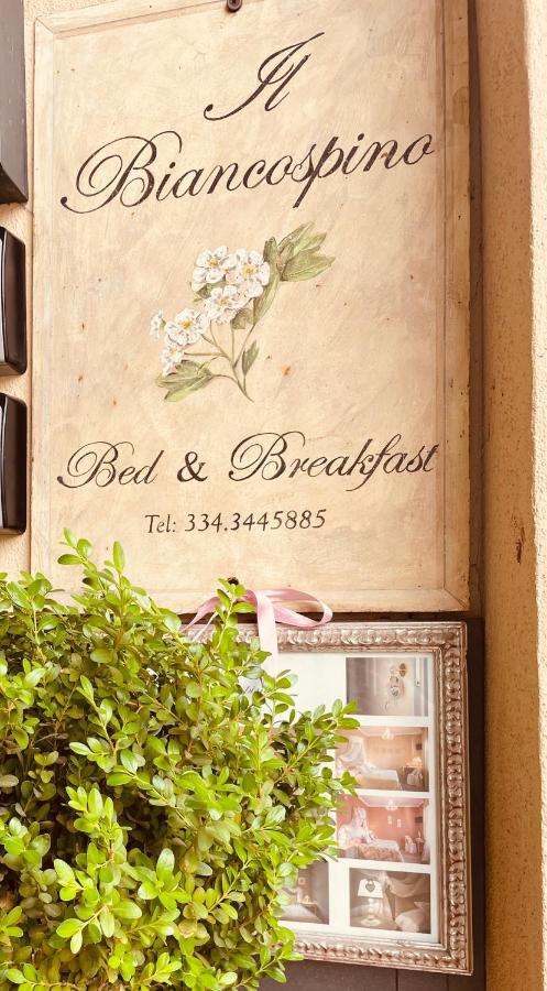 B&B Il Biancospino อับบาเดียซานซัลวาตอเร ภายนอก รูปภาพ